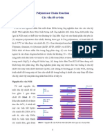 PCR Basic