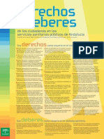 Carta Derechos y Deberes Castellano PDF