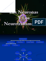 Neuronas y Neurotransmisores