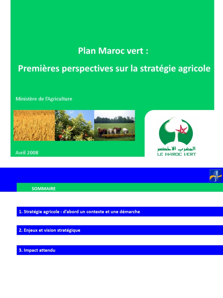 Plan Maroc Vert | PDF | Maroc | Agriculture