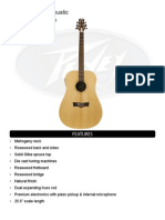 Model: DW-3 Acoustic: Features