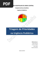 Manual de Triagem - Global v2.0