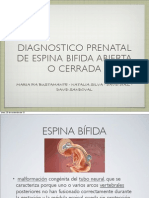 Presentacion Espina Bifida