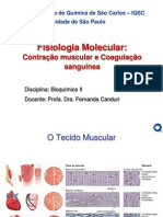 Fisiologia Molecular Contração Muscular e Coagulação Sanguínea