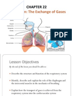 Respiration: The Exchange of Gases