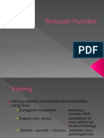 Tinjauan Pustaka