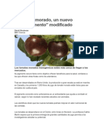 El tomate morado, un nuevo superalimento modificado.pdf