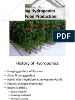 Using Hydroponics For Food Production