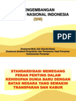 Pengembangan SNI 2013