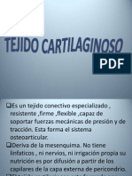 TEJIDO CARTILAGINOSO.pptx