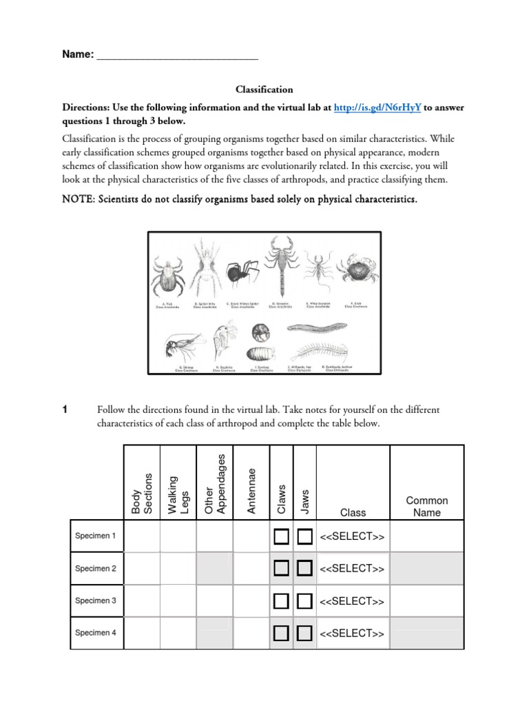3.03 Lab Classification | Taxonomy (Biology) | Reptile