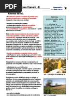 Política Agrícola Comum (11.º) (2)