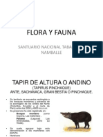 Flora y Fauna