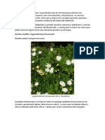 Endemismos Adelantado PDF