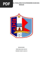 Download Laporan Hasil Pengamatan Epidermis Bawang Merah Dan Rhoe Discolor by Wiratama Fadli SN222446563 doc pdf