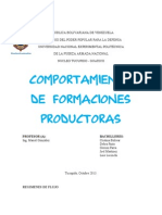 Comportamiento de formaciones productoras