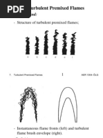 Turbulent Premixed Flames 7