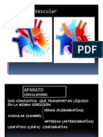 Radiologia Vascular - Angiografias