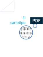 El Cariotipo