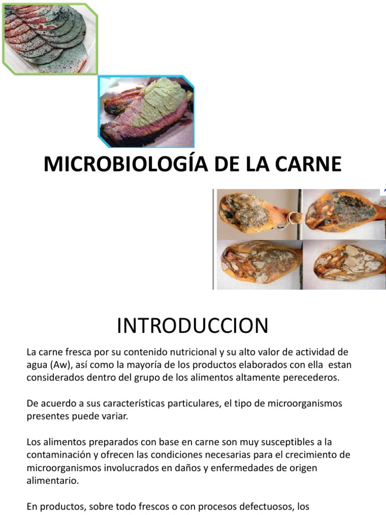 Microbiología de la Carne: Impacto y Alteraciones | PDF | Carne | Las ...