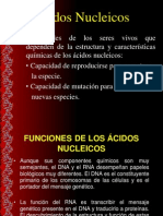 ACIDOS_NUCLEICOS