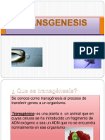 TRANSGENESIS