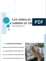 los animales tambin se drogan