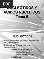 Tema_5_nucleótidos y Ácidos Nucleicos
