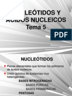 Tema_5_nucleótidos y Ácidos Nucleicos