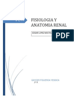 Anatomia y Fisiologia Del Sistema Renal