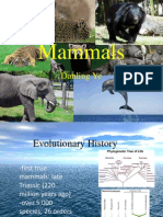 Реферат: Animal Experimentation Essay Research Paper Animal ExperimentationANIMAL