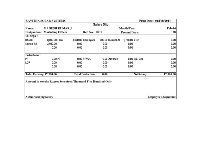 Salary Slip for Marketing Officer | PDF