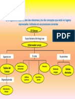 Mapa de Conceptos, El Cáncer