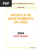 Curso de Adestramento