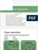 Sistem Reproduksi Ikan Ikan Ikan Ikan