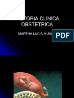 Historia Clinica Obstetrica 2013