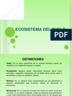 Ecosistema Del Suelo