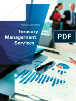 Pub 20131113 Treasury Management Services en