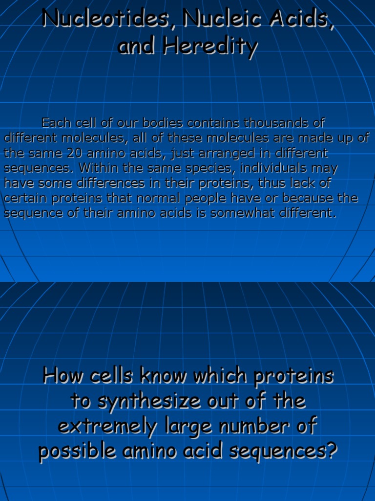 Nucleotides Nucleic Acids, and Heredity | PDF | Rna | Nucleic Acids