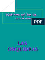 orquideas[1]
