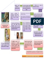 Mapa de Farmacodependencia