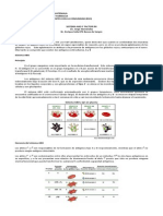 Sistema Abo PDF