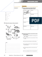 Vocabulary for 3-4 Diversificación