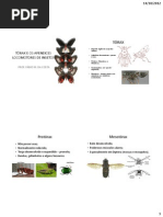 Apendices Locomotores Em Insetos Aula Pratica