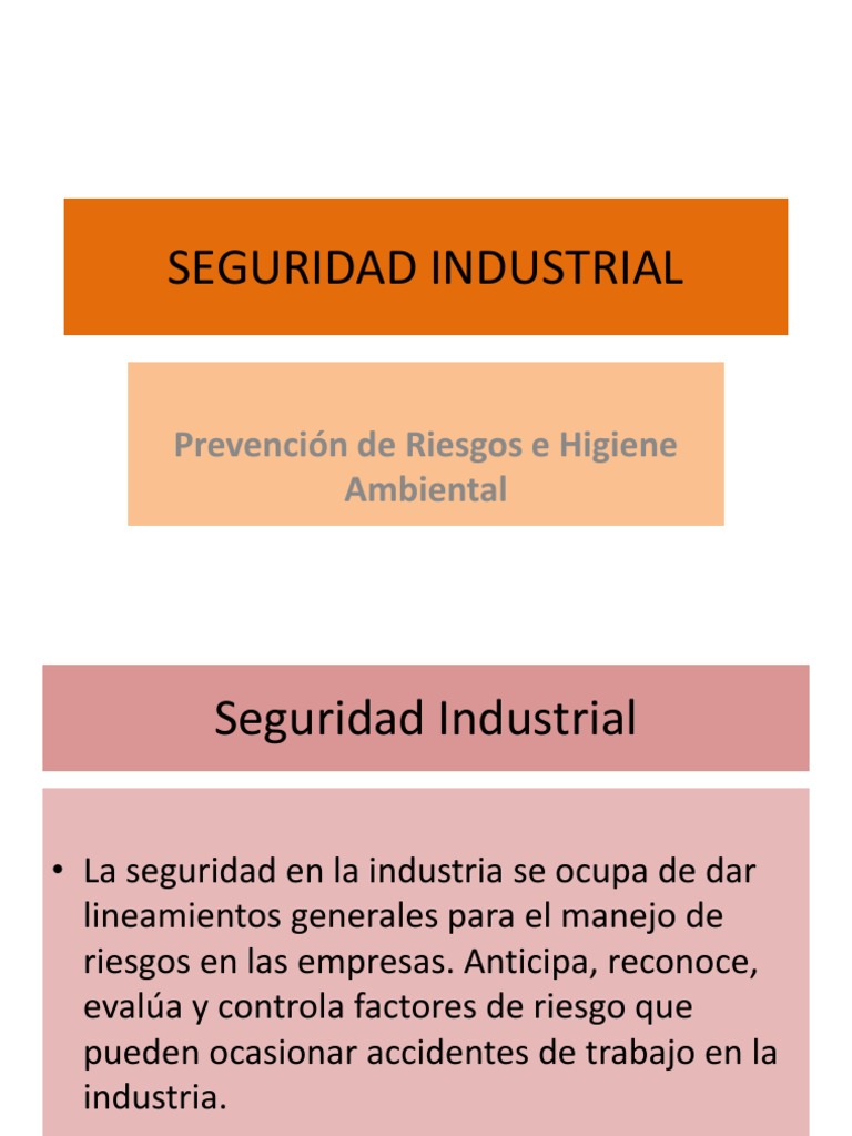 Seguridad Industrial y Prevención de Riesgos | PDF | Seguridad y salud ...