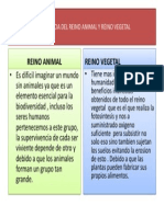 IMPORTANCIA DEL REINO ANIMAL Y REINO VEGETAL.pptx