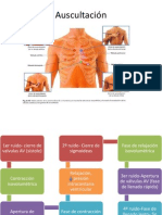 Auscultacion Cardiaca Basica