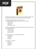 Falar Verdade a Mentir_teste escolha múltipla