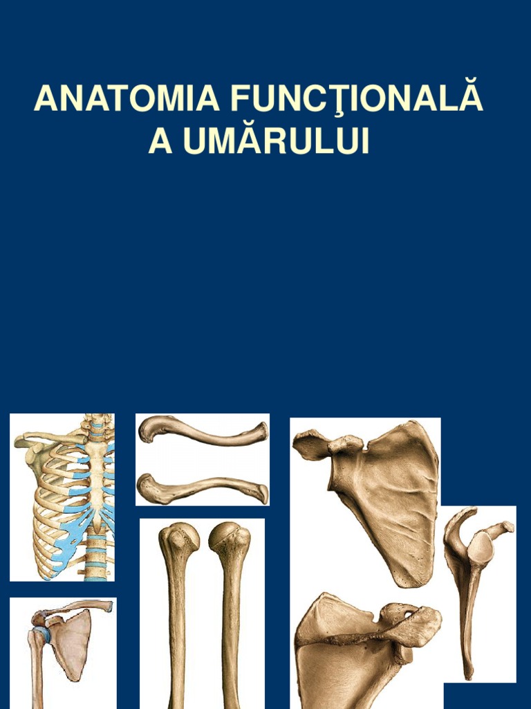 Biomecanica Articulaţiei Umărului Gata