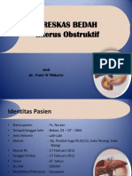 Ikterus Obstruktif DR Putri Internsip